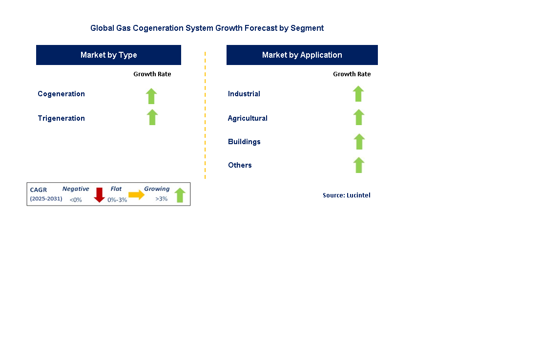 Gas Cogeneration System Market by Segment